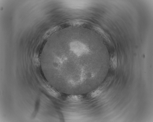 X0000089880381200706281356