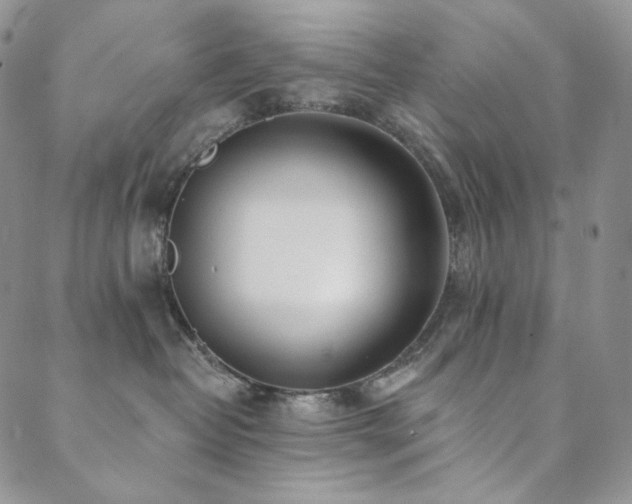 X0000089880382200706281356