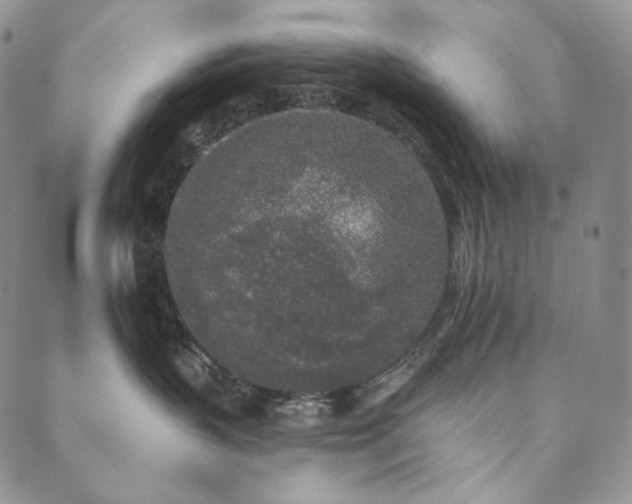 X0000089880383200706281356