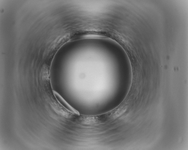 X0000089880384200706281356