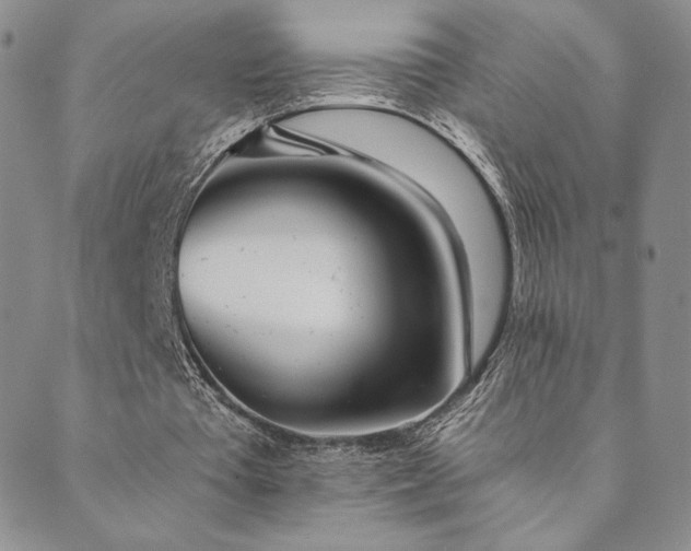 X0000089880385200706281355