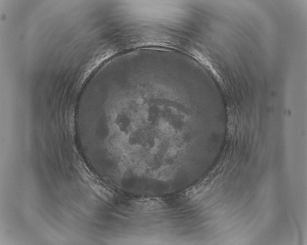 X0000089880386200706281355