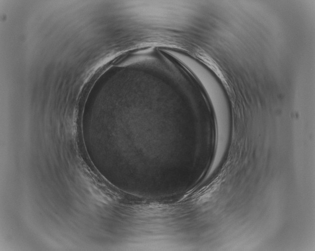 X0000089880387200706281355