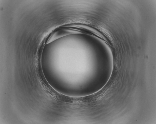 X0000089880388200706281355