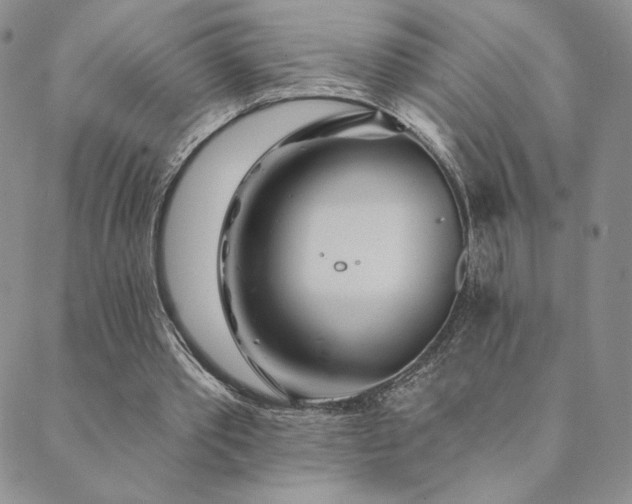 X0000089880389200706281355