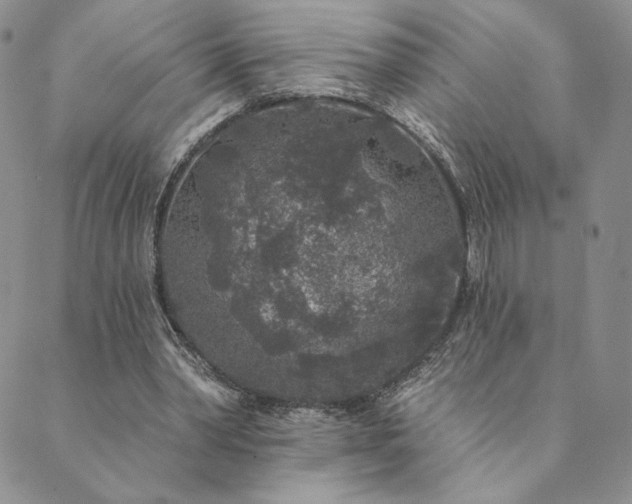 X0000089880390200706281355