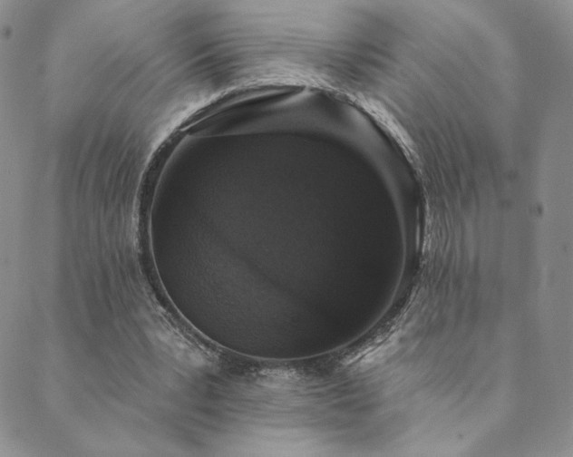 X0000089880391200706281355