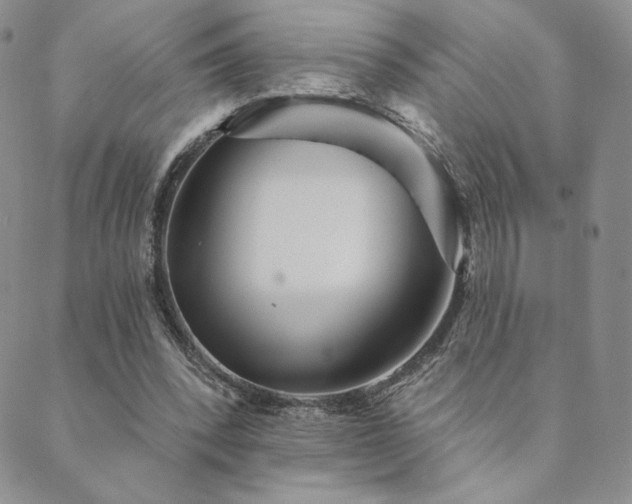 X0000089880392200706281355