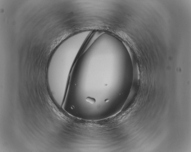 X0000089880393200706281355