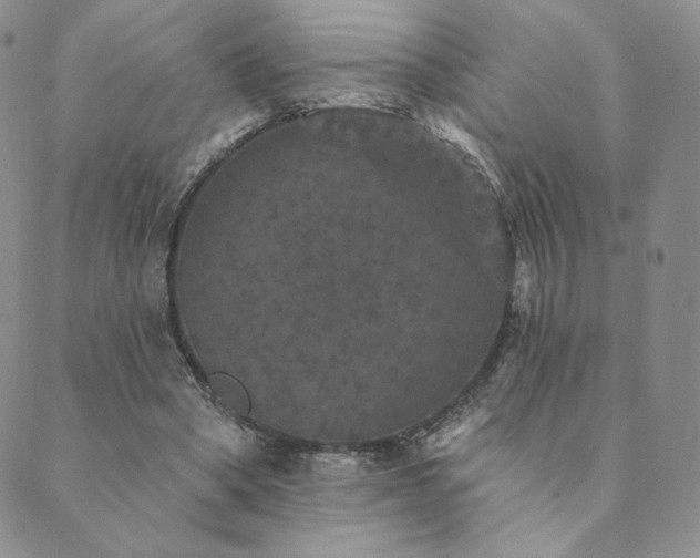 X0000089880394200706281355