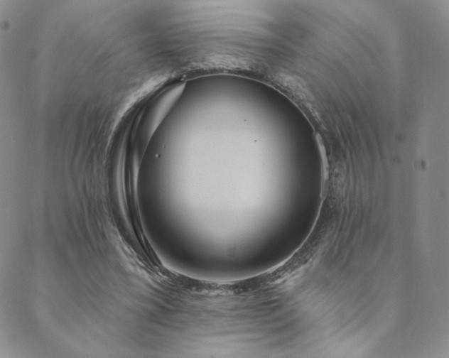 X0000089880395200706281355