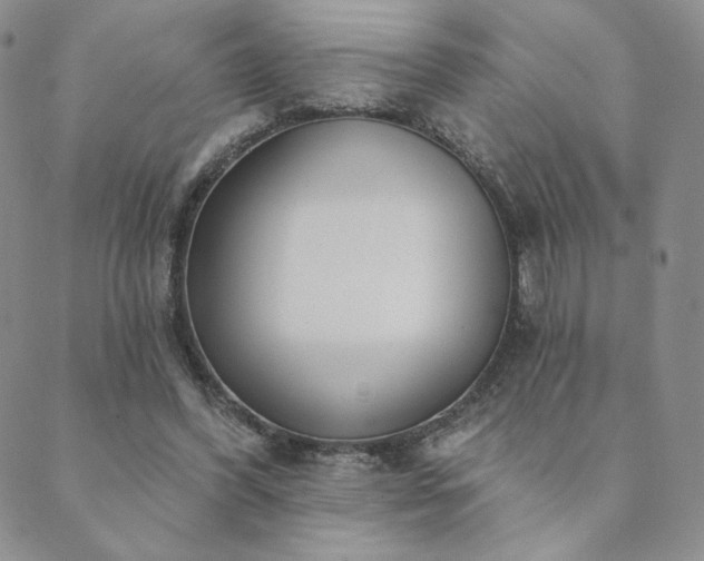 X0000089880396200706281355