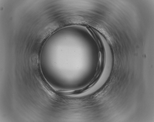 X0000089880397200706281355