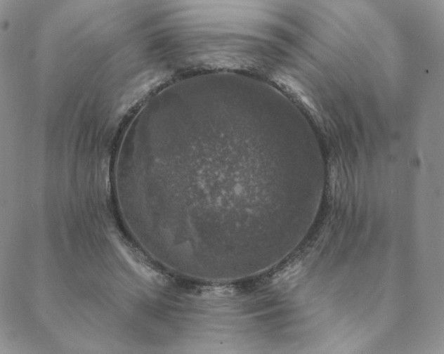 X0000089880398200706281355