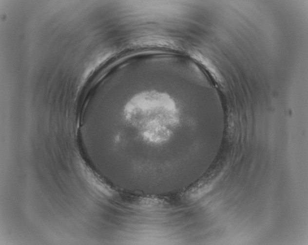 X0000089880399200706281355