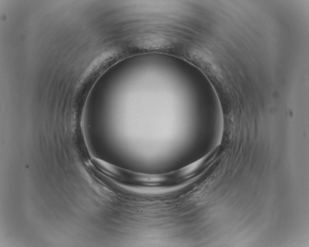 X0000089880400200706281355