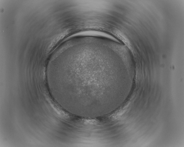 X0000089880401200706281355