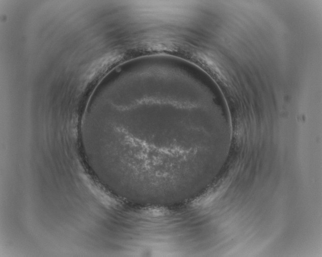 X0000089880402200706281355