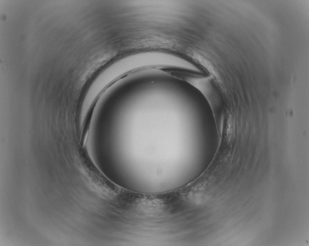 X0000089880403200706281355