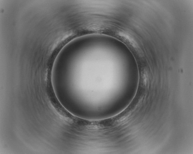 X0000089880404200706281355