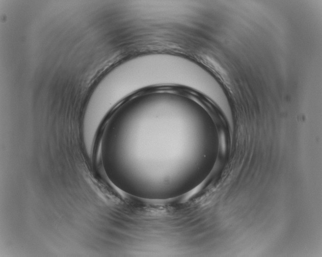 X0000089880405200706281355