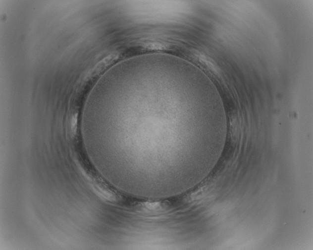 X0000089880406200706281355