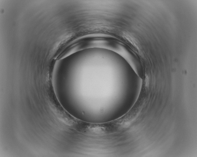 X0000089880407200706281355