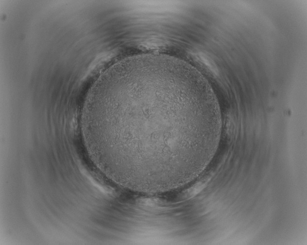 X0000089880408200706281355