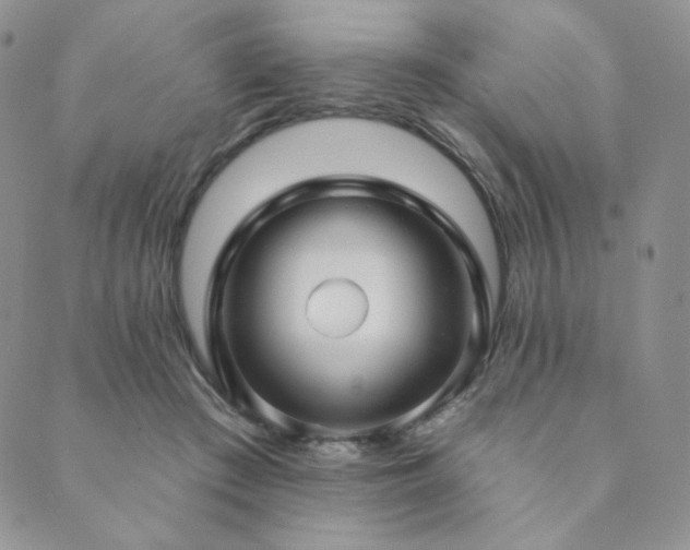 X0000089880409200706281354