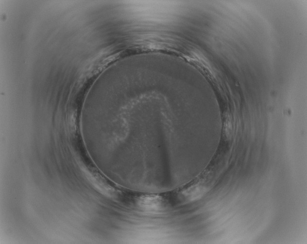 X0000089880410200706281354