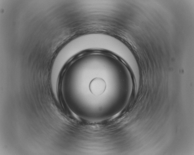 X0000089880411200706281354