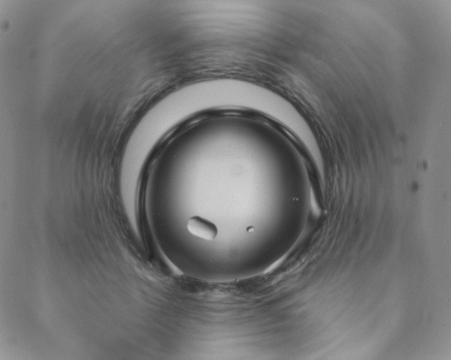 X0000089880412200706281354