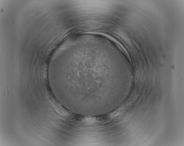 X0000089880413200706281354