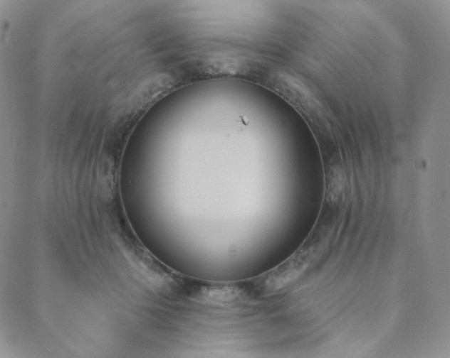 X0000089880414200706281354