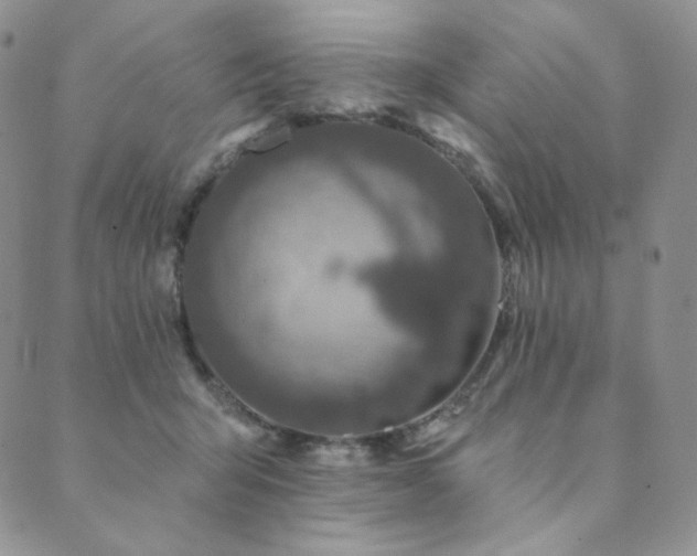 X0000089880415200706281354