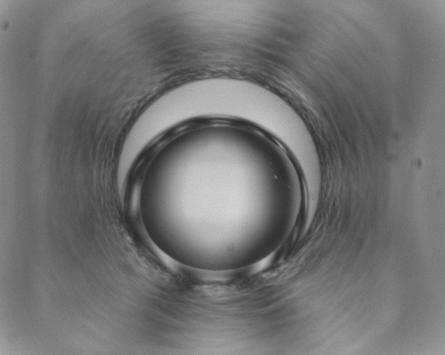 X0000089880417200706281354