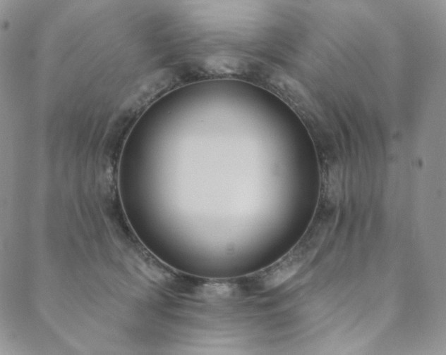 X0000089880418200706281354