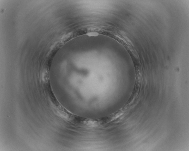 X0000089880419200706281354