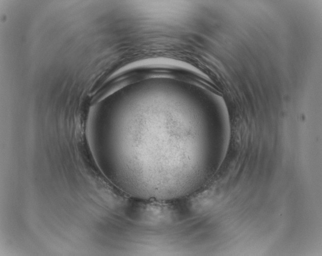 X0000089880420200706281354