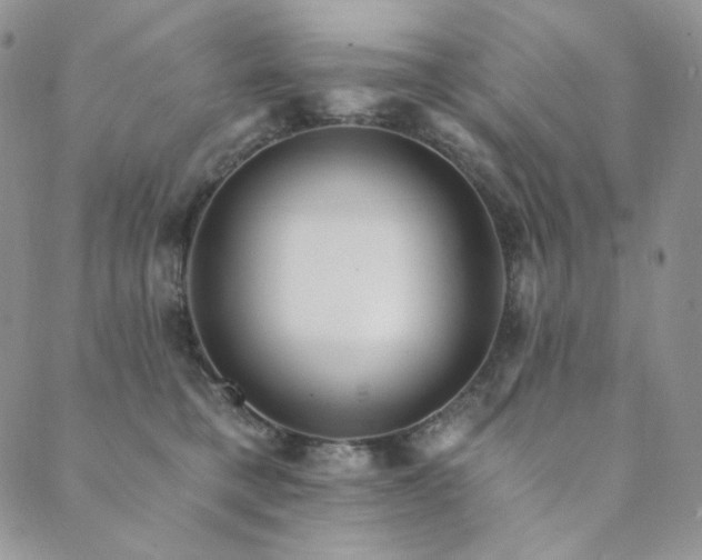 X0000089880421200706281354