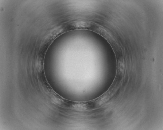 X0000089880422200706281354