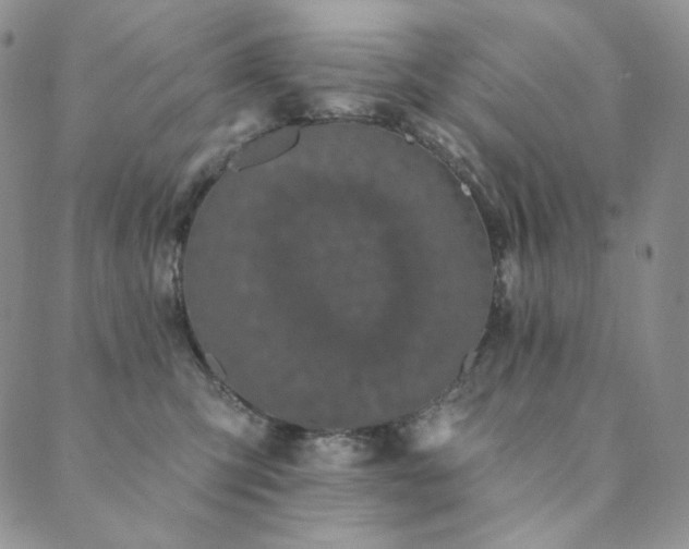 X0000089880423200706281354