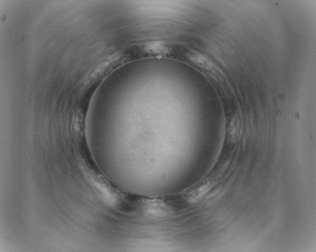 X0000089880424200706281354