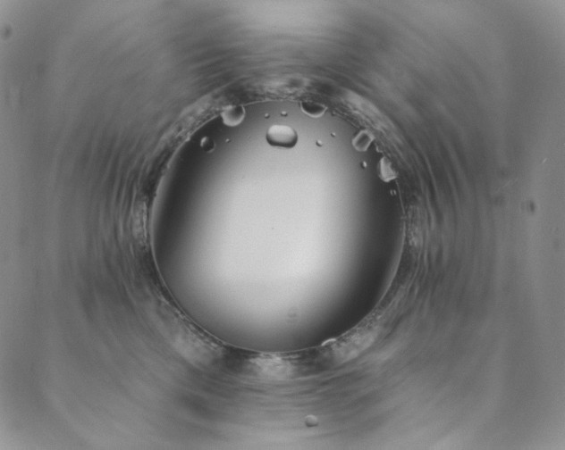 X0000089880425200706281354