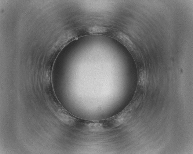 X0000089880426200706281354