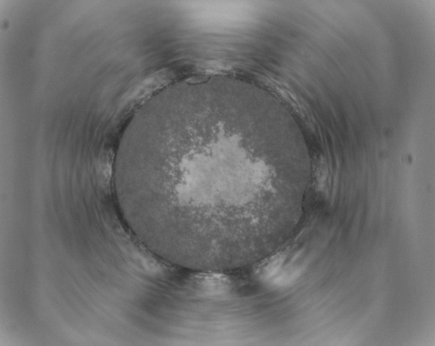 X0000089880427200706281354