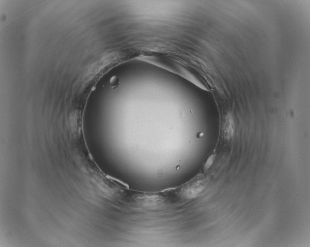 X0000089880428200706281354