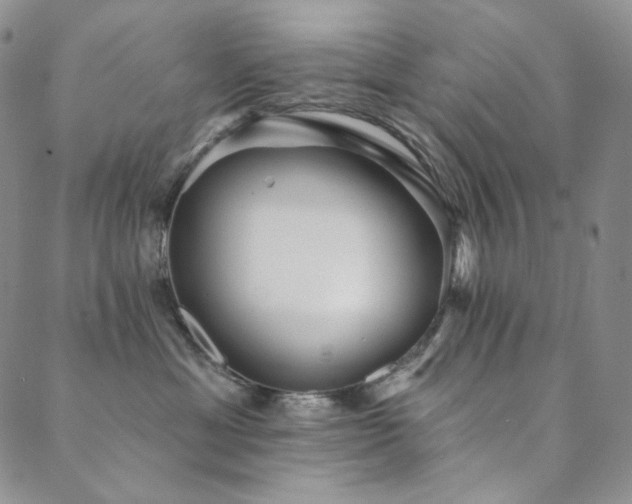 X0000089880429200706281354