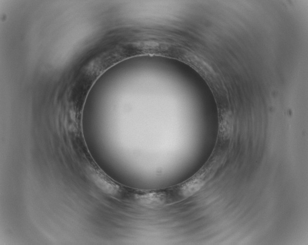 X0000089880430200706281354