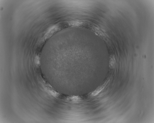 X0000089880431200706281354